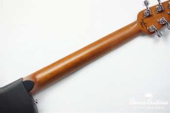 CE48P-TGE - Tiger Eye